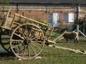 Photo N1:   Gte rural    Croixmare Vacances Rouen Seine Maritime (76) FRANCE 76-6656-1