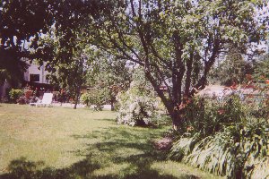 Photo N5:  Appartement da Dombasle-Devant-Darney Vacances Darney Vosges (88) FRANCE 88-3363-1