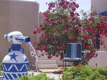 Photo N2:  Villa - maison Midoun Vacances Djerba  TUNISIE tn-3358-1