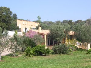 Photo N1:  Villa - maison Bocca-dell-Oro Vacances Porto-Vecchio Corse (20) FRANCE 20-6798-1