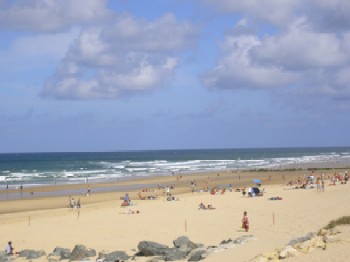 Photo N1:  Studio   Lacan Lacanau-Ocan Vacances Bordeaux Gironde (33) FRANCE 33-6779-1