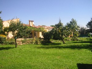 Photo N3:  Villa - maison Chateauneuf Vacances Cannes Alpes Maritimes (06) FRANCE 06-6861-1