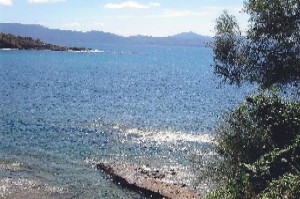 Photo N3:  Villa - maison Cargse Vacances Ajaccio Corse (20) FRANCE 20-6901-1