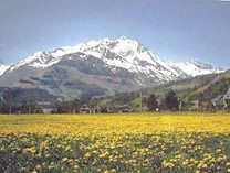 Photo N1: Location vacances Bun Argeles-Gazost Hautes Pyrnes (65) FRANCE 65-6929-1