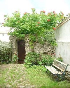 Photo N2: Location vacances Les-Portes-en-R Ile-de-R Charente Maritime (17) FRANCE 17-6879-1