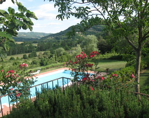 Photo N10:  Villa - maison La-Montanina Vacances Arezzo Toscane - Florence ITALIE it-1-211