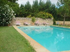 Photo N1: Location vacances Isle-sur-la-Sorgue Avignon Vaucluse (84) FRANCE 84-6979-1