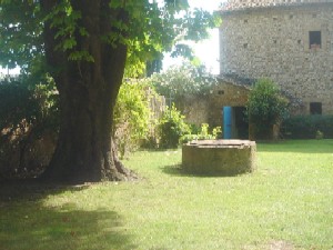 Photo N3:  Mas   Isle-sur Isle-sur-la-Sorgue Vacances Avignon Vaucluse (84) FRANCE 84-6979-1