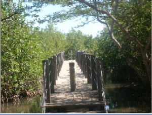 Photo N2:  Villa - maison Port-Louis Vacances Anse-Bertrand  Guadeloupe gp-7030-1