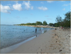 Photo N3:  Villa - maison Port-Louis Vacances Anse-Bertrand  Guadeloupe gp-7030-1