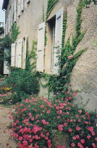 Photo N1:  Villa - maison Semalens Vacances Castres Tarn (81) FRANCE 81-7143-1