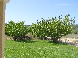 Photo N3:  Chambre d'hte Cavillargues Vacances Uzes Gard (30) FRANCE 30-7155-2