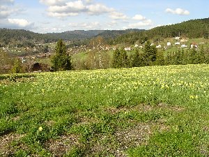 Photo N8:  Chalet   Xonru Xonrupt-Longemer Vacances Grardmer Vosges (88) FRANCE 88-7154-1