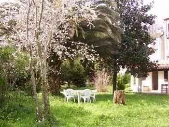 Photo N4:  Villa - maison Pietrapola Vacances Ghisonaccia Corse (20) FRANCE 20-7168-1