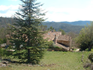 Photo N1: Location vacances Chateauvert Brignoles Var (83) FRANCE 83-4300-1