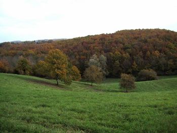 Photo N2:  Ferme   Saint- Saint-Jean-de-Bazillac Vacances Auch Gers (32) FRANCE 32-4297-1