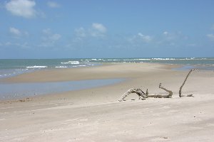 Photo N�3:  Bungalow   Par Parajuru- Vacances Fortaleza  BRESIL br-7251-1