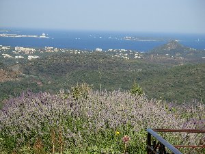 Photo N3:  Villa - maison Les-Adrets-De-l-Esterel Vacances Saint-Raphal Var (83) FRANCE 83-7332-1