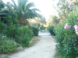 Photo N2:  Villa - maison Oletta Vacances Saint-Florent Corse (20) FRANCE 20-7342-2