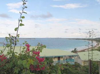 Photo N1:  Studio dans r Mont-Vernon Vacances Grand-Case St Martin Guadeloupe gp-7383-1