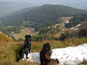 Photo N7:  Chambre d'hte Ban-sur-meurthe Vacances Gerardmer Vosges (88) FRANCE 88-7405-1