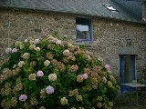 Photo N1:  Villa - maison Saint-Lunaire Vacances Saint-Malo Ille et Vilaine (35) FRANCE 35-7414-1