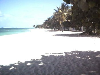 Photo N1:  Studio   Le-Mo Le-Moule Vacances   Guadeloupe gp-7396-1