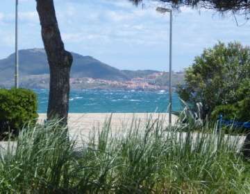 Photo N6:  Studio   Argel Argeles-Sur-Mer Vacances Perpignan Pyrnes Orientales (66) FRANCE 66-7447-1