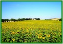 Photo N10:  Ferme   Ferran Ferran Vacances Carcassonne Aude (11) FRANCE 11-7489-1