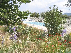 Photo N5:  Ferme   La-roc La-rochegiron Vacances Forcalquier Alpes de Haute Provence (04) FRANCE 04-7500-1