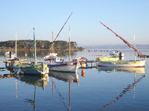 Photo N6:  Appartement da Le-Brusc Vacances Six-Fours-Les-Plages Var (83) FRANCE 83-7546-2