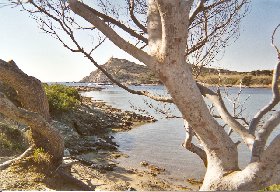 Photo N2:  Appartement da Le-Brusc Vacances Six-Fours-Les-Plages Var (83) FRANCE 83-7546-3