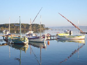 Photo N6:  Appartement da Le-Brusc Vacances Six-Fours-Les-Plages Var (83) FRANCE 83-7548-1