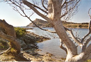 Photo N8:  Appartement da Le-Brusc Vacances Six-Fours-Les-Plages Var (83) FRANCE 83-7548-1