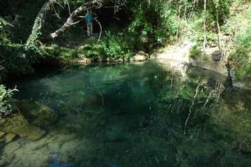 Photo N�5:  Appartement    Castellina-in-Chianti Vacances Sienne Toscane - Florence ITALIE it-7554-1