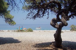 Photo N1: Location vacances Xylokastro Corinthe Ploponnse GRECE gr-7515-1