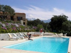 Photo N3:  Villa - maison Lumio Vacances Calvi Corse (20) FRANCE 20-7596-1