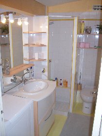 Photo N8:  Appartement    Toulouse Vacances  Haute Garonne (31) FRANCE 31-7624-1