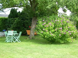 Photo N7:  Chambre d'hte Ancourteville-sur-hricourt Vacances Fauville-En-Caux Seine Maritime (76) FRANCE 76-7696-1