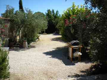 Photo N4:  Villa - maison Tavel Vacances Avignon Vaucluse (84) FRANCE 30-7683-1