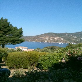 Photo N9:  Villa - maison Sagone Vacances Ajaccio Corse (20) FRANCE 20-7699-2