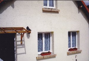 Photo N2:  Villa - maison Le-Trport Vacances Dieppe Seine Maritime (76) FRANCE 76-7726-1