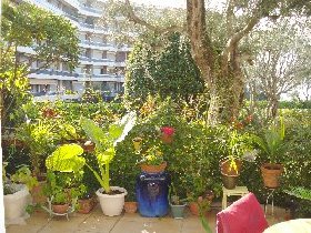 Photo N2:  Appartement da Nice Vacances  Alpes Maritimes (06) FRANCE 06-7752-1