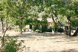 Photo N1:  Villa - maison Aups Vacances Draguignan Var (83) FRANCE 83-7785-1