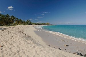 Photo N6:  Studio   Friar Friar-s-Bay Vacances Marigot St Martin Guadeloupe gp-7767-1