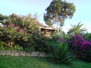 Photo N2:  Villa - maison Marie-Galante Vacances Grand-Bourg  Guadeloupe gp-7813-1