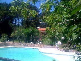 Photo N2: Location vacances Lecci Porto-Vecchio Corse (20) FRANCE 20-7860-1