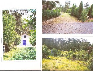 Photo N9:  Villa - maison Canedo Vacances Vila-da-Feira Minho - Cte Nord PORTUGAL pt-7861-1