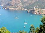 Photo N2:  Chambre d'hte Galria Vacances Calvi Corse (20) FRANCE 20-7867-1