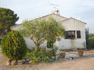 Photo N1:  Villa - maison Puget-Sur-Argens Vacances Frejus Var (83) FRANCE 83-7881-1